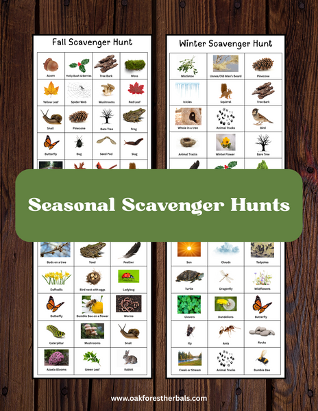 Seasonal Nature Scavenger Hunts & Movement