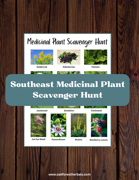 Southeast Medicinal Plant Scavenger Hunt