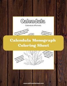 Calendula Coloring Sheet